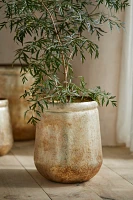 Weathered Gold Iron Planter