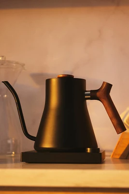 Fellow Stagg EKG Electric Kettle