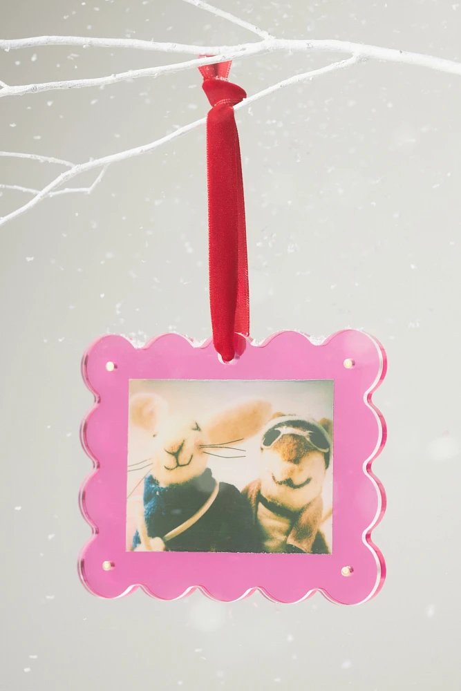 Pink Acrylic Picture Frame Ornament