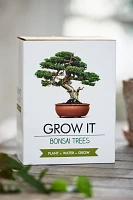 Bonsai Trees Grow Kit