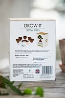 Bonsai Trees Grow Kit