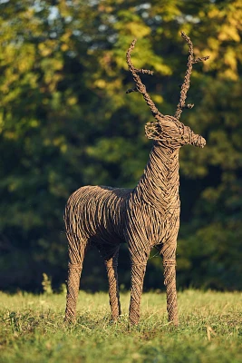 Illuminated LED Vine Reindeer