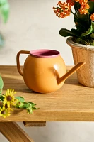 Colorful Enamel Watering Can, Harvest