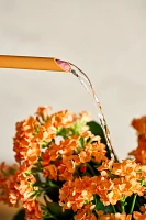 Colorful Enamel Watering Can, Harvest