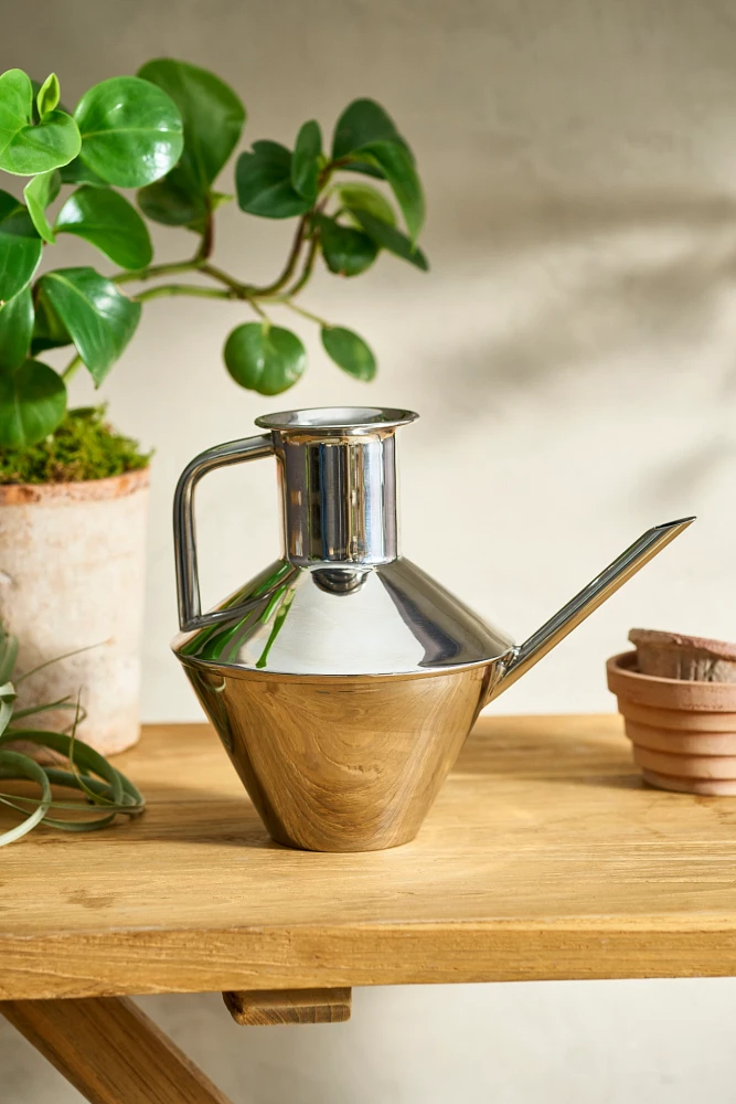 Angular Stainless Steel Watering Can