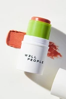 Well People Supernatural Stick Multi-Use Blush