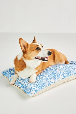 Foggy Dog Plush Bed