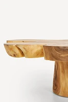 Grand Abstract Live-Edge Coffee Table