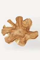 Grand Abstract Live-Edge Coffee Table