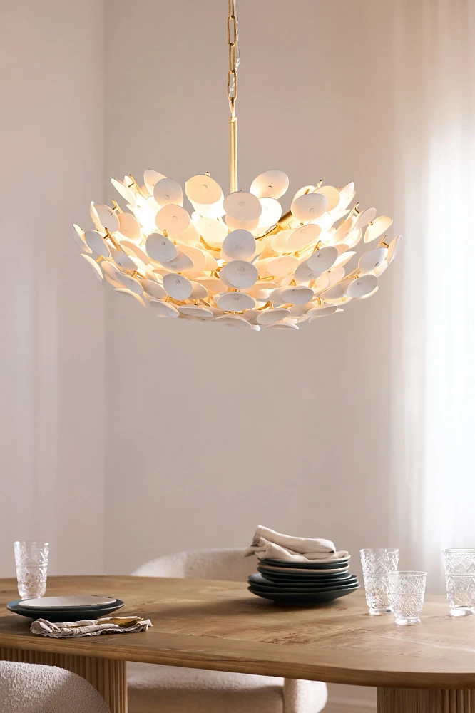 Aimi Chandelier