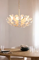 Aimi Chandelier