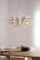 Aimi Chandelier