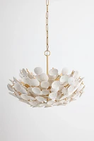 Aimi Chandelier