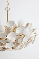 Aimi Chandelier