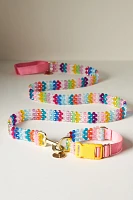 Susan Alexandra Beaded Walk Leash & Collar Bundle