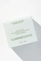 Flamingo Estate Exfoliating Peppermint Soap Brick