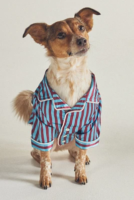 Found My Animal x Anthropologie Striped Pet Pajamas