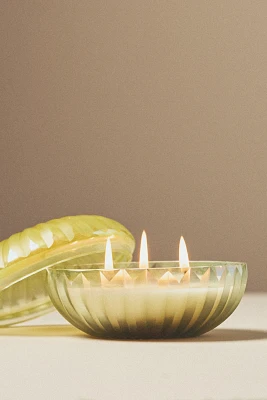 Blooming Fruity Clementine & Jasmine Glass Candle