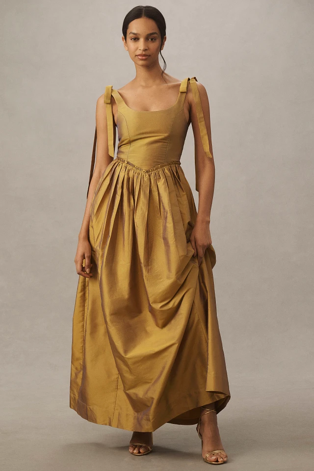 Louise Marie Tie-Strap Corset Taffeta Maxi Dress | Hawthorn Mall