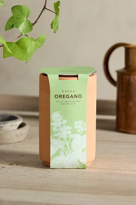 Greek Oregano Self-Watering Grow Kit