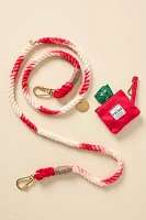 Found My Animal Peppermint Pet Leash and Pouch Combo