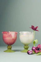 Tula Floral Tulip Fields Pedestal Candle