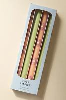 Cora Handpainted Taper Candles, Set of 4