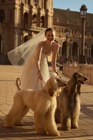 BHLDN Strapless A-Line Satin Tulle-Skirt Midi Dress