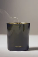 Apotheke Juniper Birch Boxed Candle