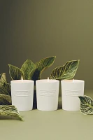 Les Citadines Urban Garden Eden Boxed Candle