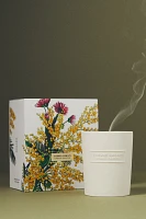 Les Citadines Urban Garden Solaris Boxed Candle