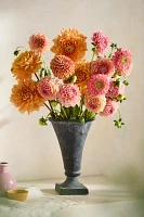 Fresh Assorted Dahlia and Gerrondo Bouquet