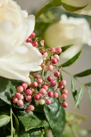 Fresh Garden Rose Holiday Bouquet