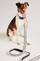 Bistro Garden Tile 5-Foot Dog Leash