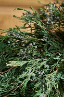 Preserved Juniper Wreath