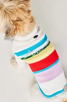 Maxbone x Anthropologie Après Pet Sweater