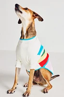 Maxbone x Anthropologie Après Pet Sweater