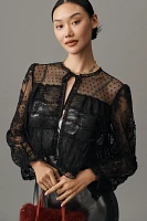 Anna Sui Lace Front-Tie Blouse