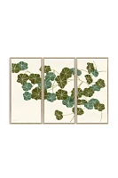 Ivy Triptych Wall Art