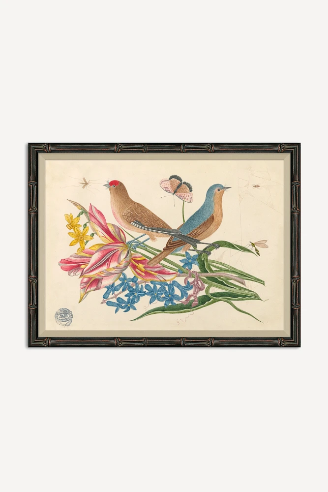 18th Century Floral Bouquets with Birds Wall Art