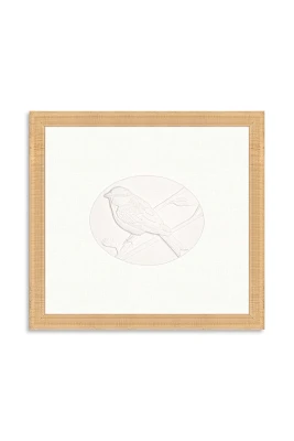 Chipping Sparrows Wall Art