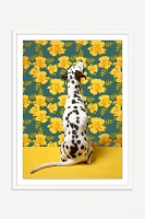 Dalmatian & Yellow Blossoms Wall Art