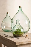 Bottle Garden Terrarium Kit