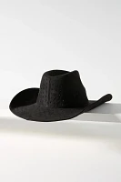 Sparkle Suede Rancher Hat