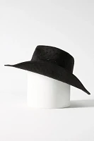 Sparkle Suede Rancher Hat