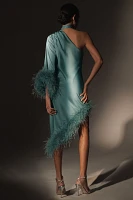 Hutch Asymmetrical One-Shoulder Faux-Feather Scarf Midi Dress