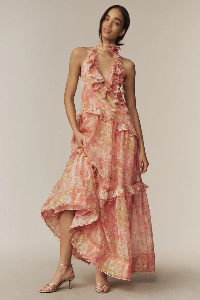 BHLDN Landon Organza 3D Ruffle Maxi Dress at MarketFair Shoppes in  Princeton, NJ