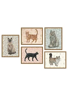 Cat Gallery Wall Art