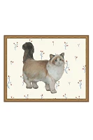 Ragdoll Cat Wall Art