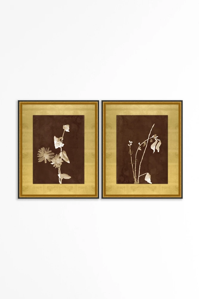 Botanist Study Gallery Wall Art